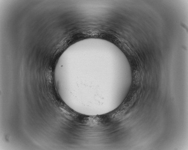 X0000096150612200802081413