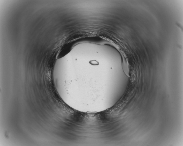 X0000096150613200802081413