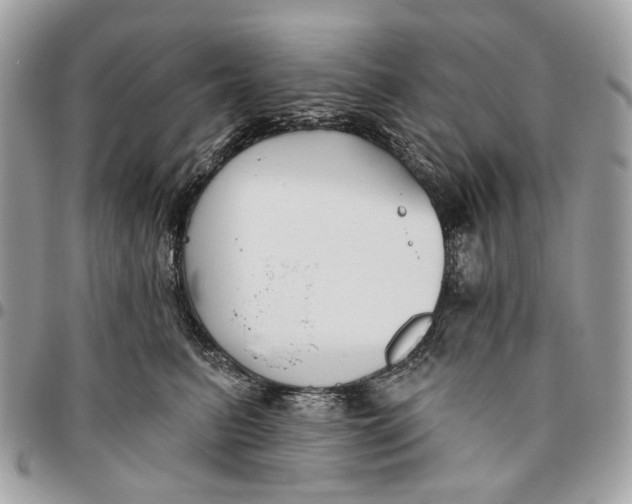 X0000096150615200802081413