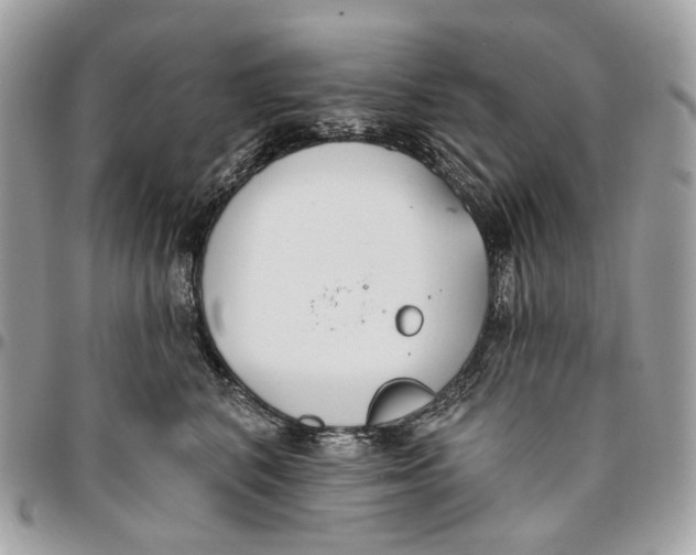 X0000096150616200802081413