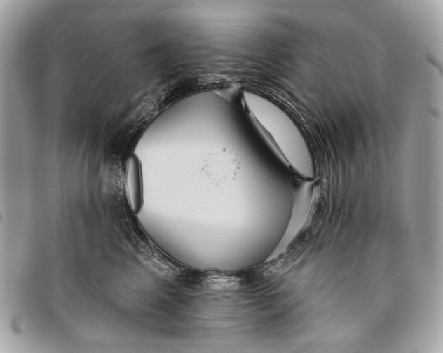 X0000096150617200802081413