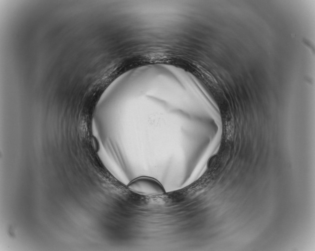 X0000096150618200802081413