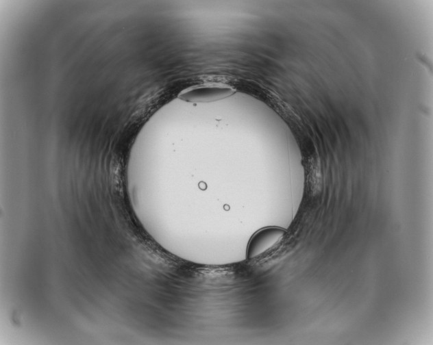 X0000096150619200802081413