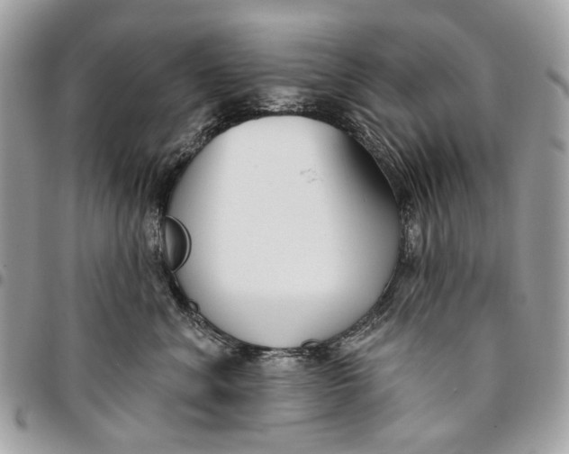 X0000096150620200802081413