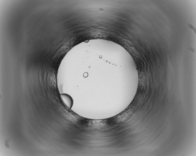 X0000096150622200802081413