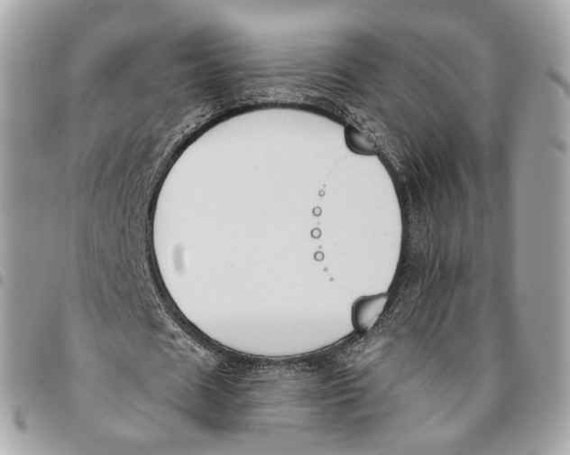 X0000096150625200802081412