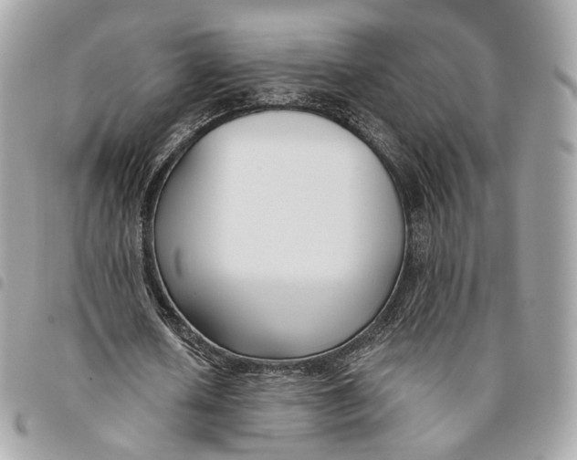 X0000096150626200802081412