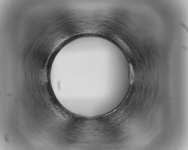 X0000096150628200802081412