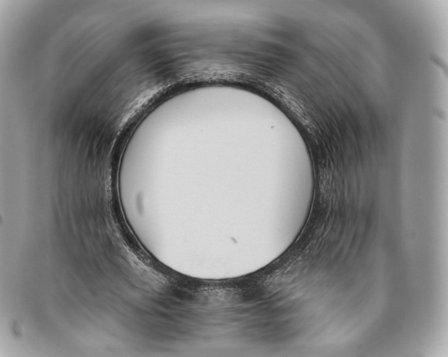 X0000096150629200802081412