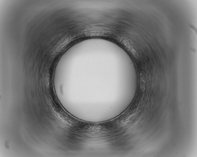 X0000096150631200802081412