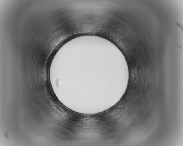 X0000096150632200802081412