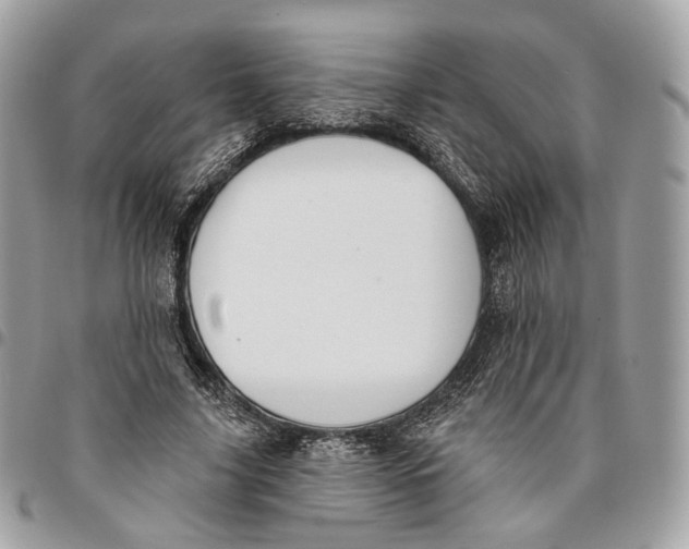 X0000096150635200802081413