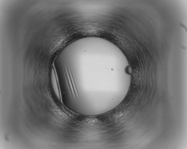 X0000096150642200802081413