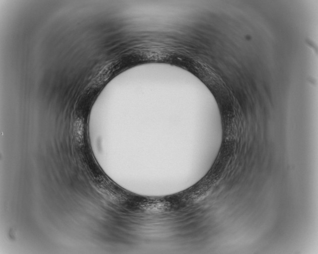 X0000096150646200802081413