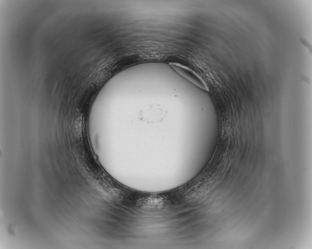 X0000096150647200802081413