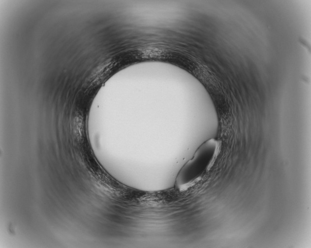 X0000096150648200802081413