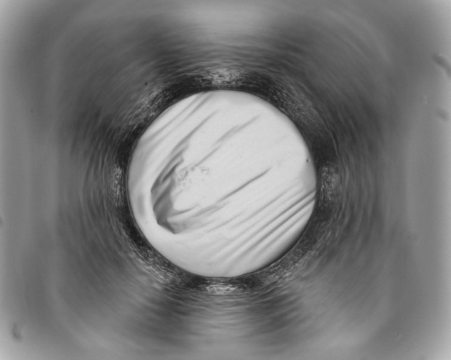 X0000096150650200802081413