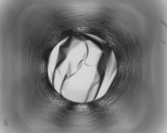 X0000096150651200802081413