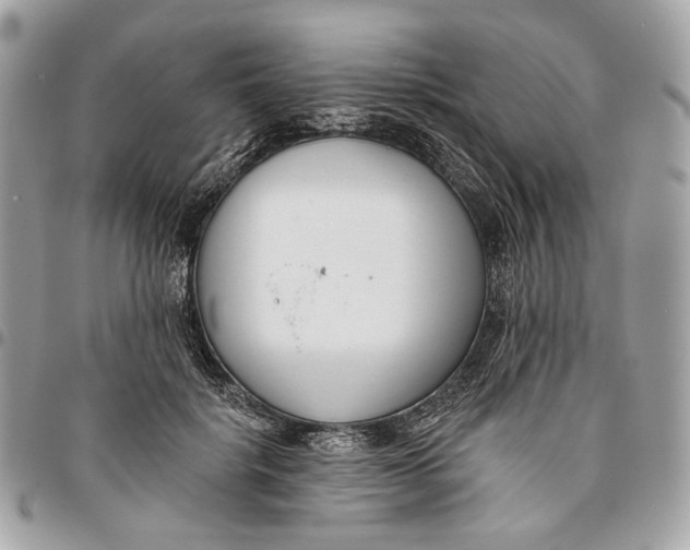 X0000096150652200802081413