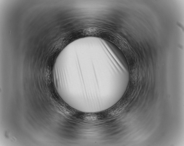 X0000096150653200802081413