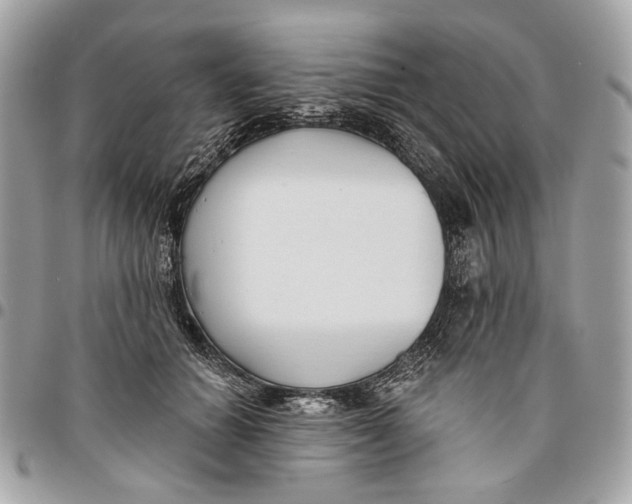 X0000096150654200802081413