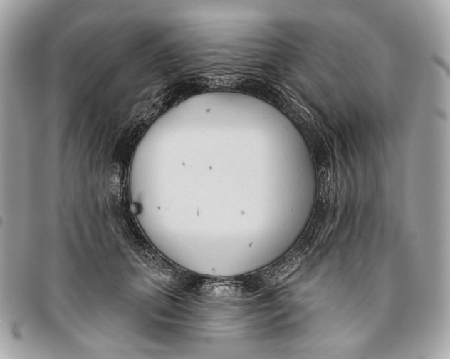 X0000096150655200802081413