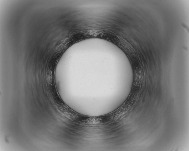 X0000096150656200802081413