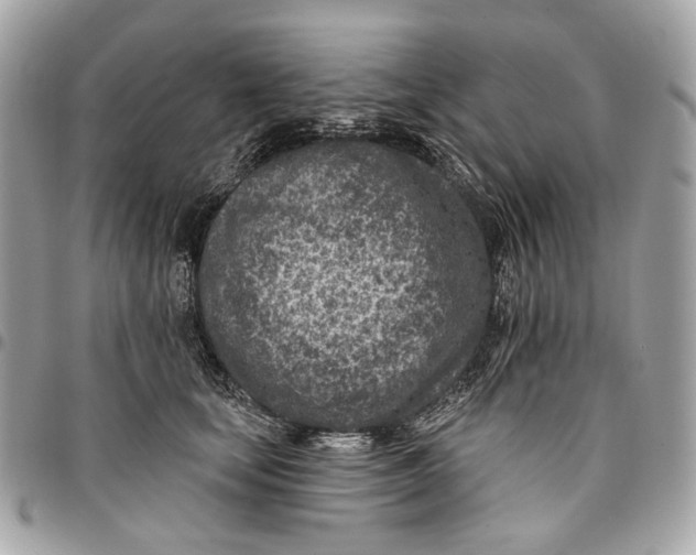 X0000096150659200802081413