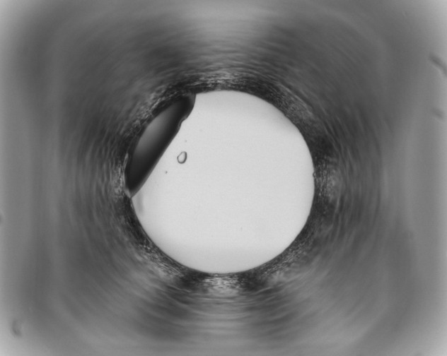 X0000096150660200802081413