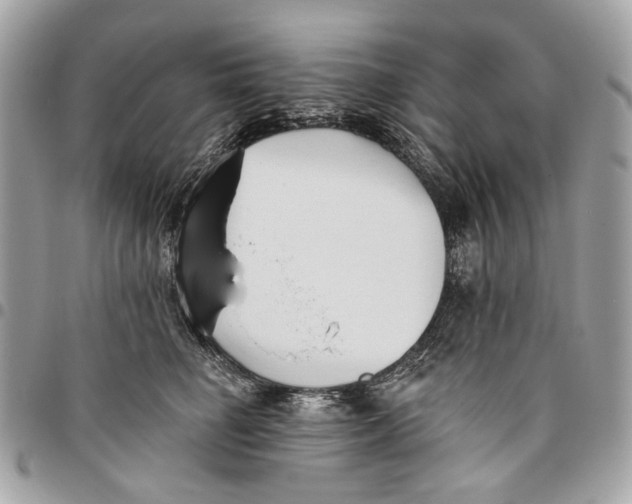 X0000096150662200802081413