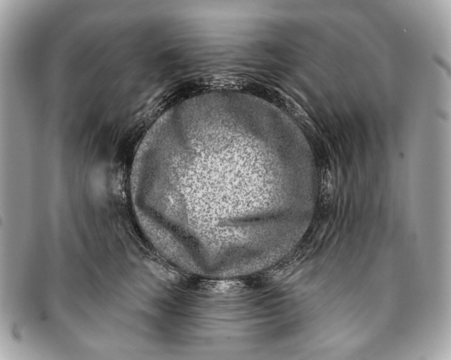 X0000096150663200802081413