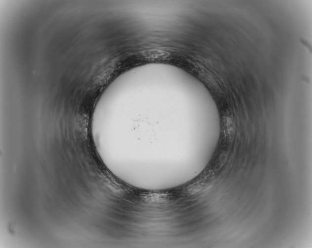 X0000096150664200802081413