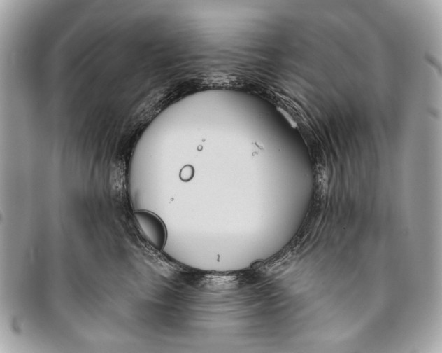 X0000096150665200802081413