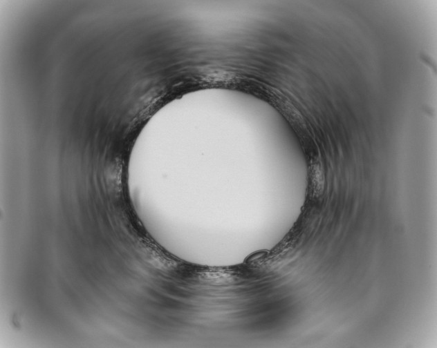 X0000096150668200802081413