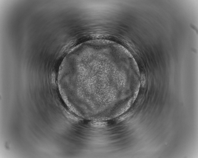 X0000096150670200802081413