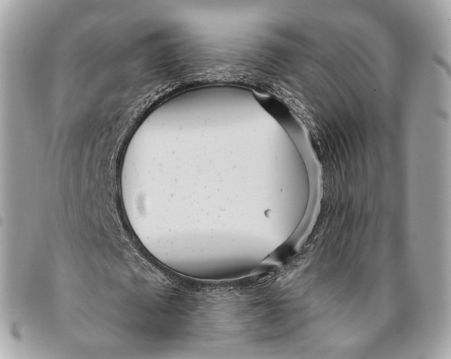 X0000096150673200802081412