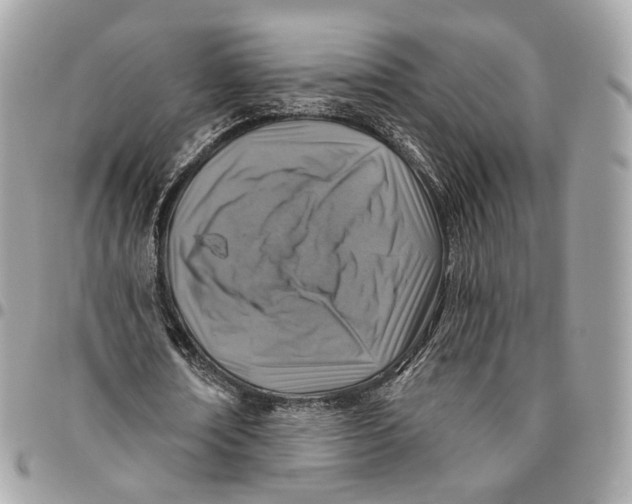 X0000096150674200802081412