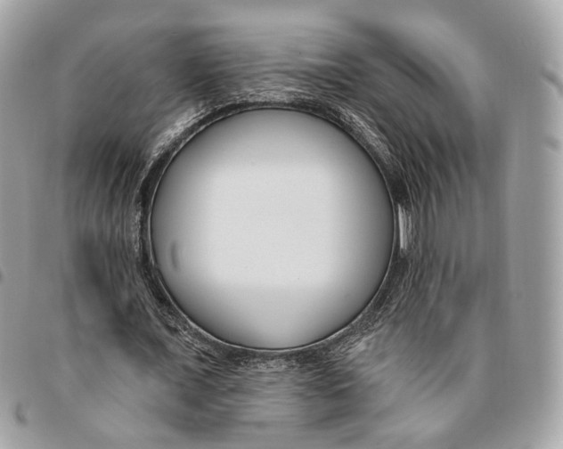 X0000096150675200802081412