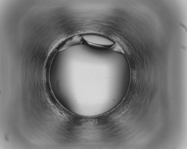 X0000096150676200802081412