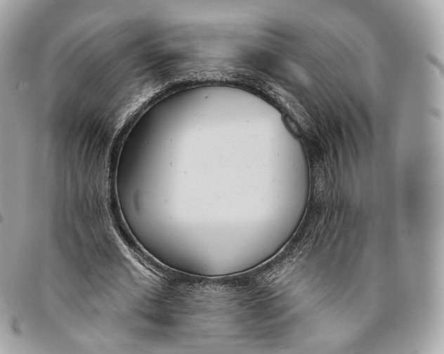 X0000096150677200802081412