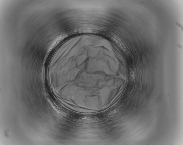 X0000096150678200802081412