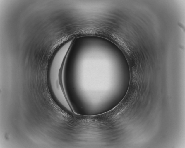 X0000096150681200802081412