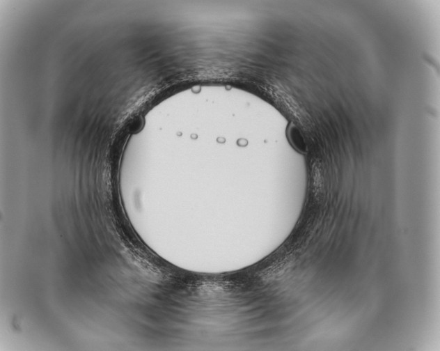 X0000096150684200802081412