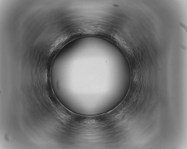 X0000096150685200802081412