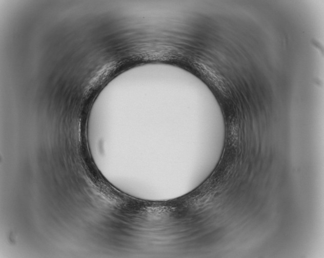 X0000096150686200802081412