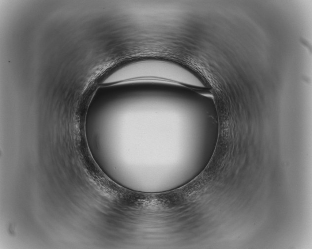 X0000096150688200802081412