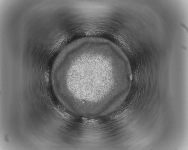 X0000096150691200802081412