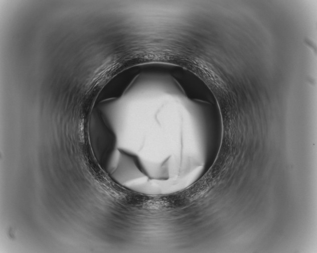 X0000096150696200802081412