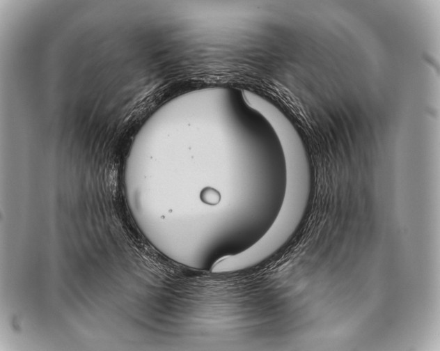 X0000096150697200802081412