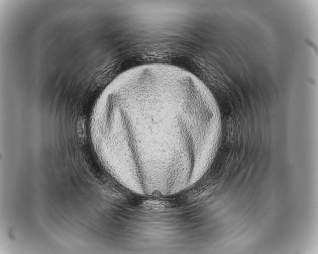 X0000096150699200802081412